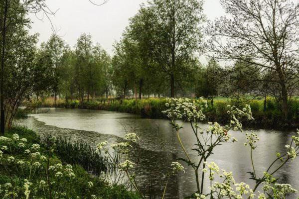 Talbooth House & Spa Dedham Eksteriør bilde